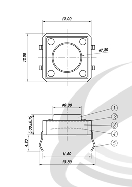 輕觸開關彈簧